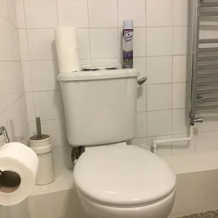 The Kings Arms فندق ريث